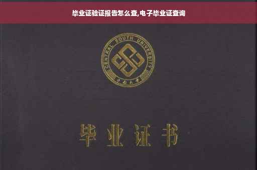 毕业证验证报告怎么查,电子毕业证查询