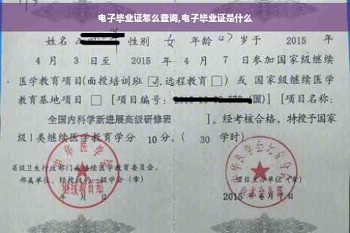 电子毕业证怎么查询,电子毕业证是什么