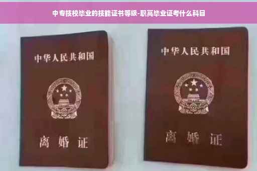 中专技校毕业的技能证书等级-职高毕业证考什么科目