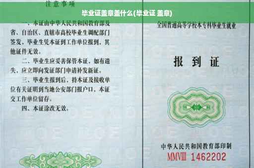 毕业证盖章盖什么(毕业证 盖章)