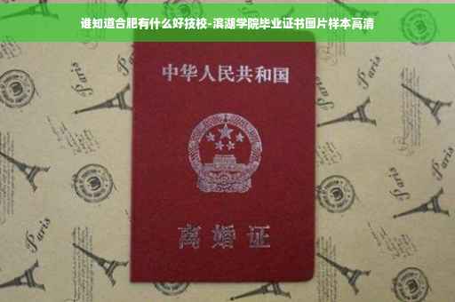 谁知道合肥有什么好技校-滨湖学院毕业证书图片样本高清