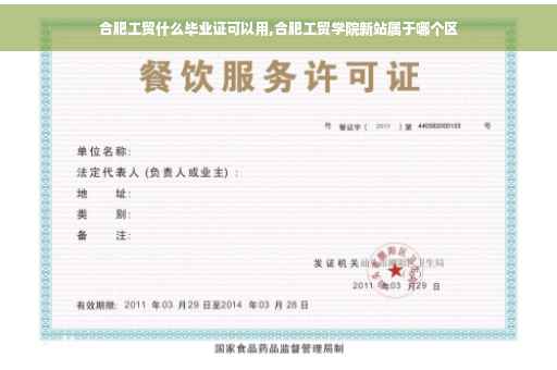 合肥工贸什么毕业证可以用,合肥工贸学院新站属于哪个区
