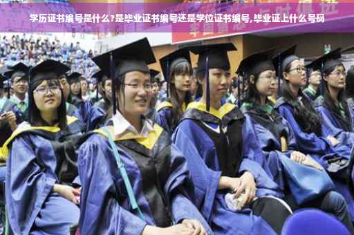 学历证书编号是什么?是毕业证书编号还是学位证书编号,毕业证上什么号码