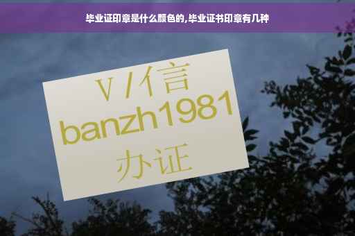 毕业证印章是什么颜色的,毕业证书印章有几种