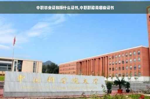 中职毕业证包括什么证书,中职职称是哪些证书