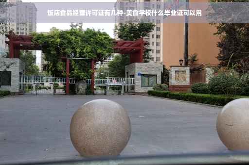 饭店食品经营许可证有几种-美食学校什么毕业证可以用