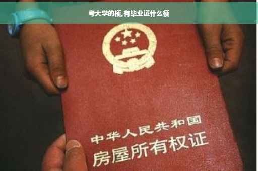 考大学的梗,有毕业证什么梗