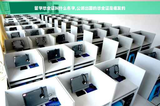 留学毕业证叫什么名字,公派出国的毕业证是谁发的