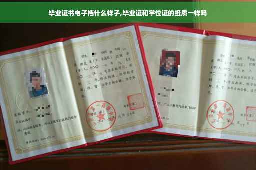 毕业证书电子档什么样子,毕业证和学位证的纸质一样吗