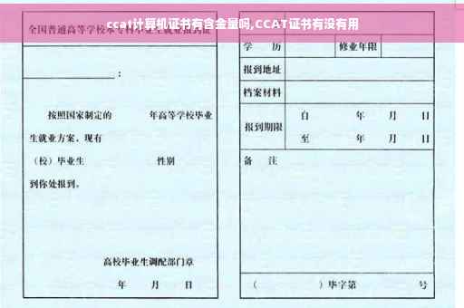ccat计算机证书有含金量吗,CCAT证书有没有用