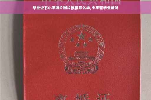 毕业证书小学照片图片模板怎么弄,小学有毕业证吗