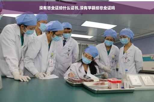 没有毕业证给什么证书,没有学籍给毕业证吗