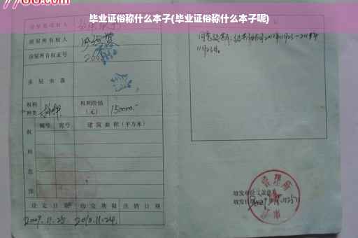 毕业证俗称什么本子(毕业证俗称什么本子呢)