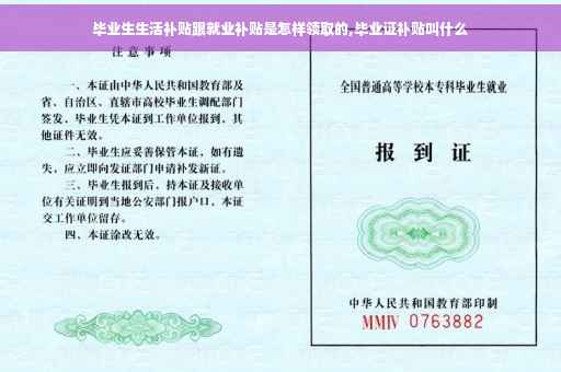 毕业生生活补贴跟就业补贴是怎样领取的,毕业证补贴叫什么