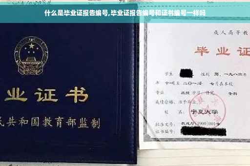 什么是毕业证报告编号,毕业证报告编号和证书编号一样吗