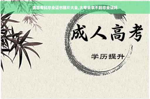 清华专科毕业证书图片大全,大专会拿不到毕业证吗