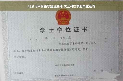什么可以充当毕业证原件,大三可以拿到毕业证吗