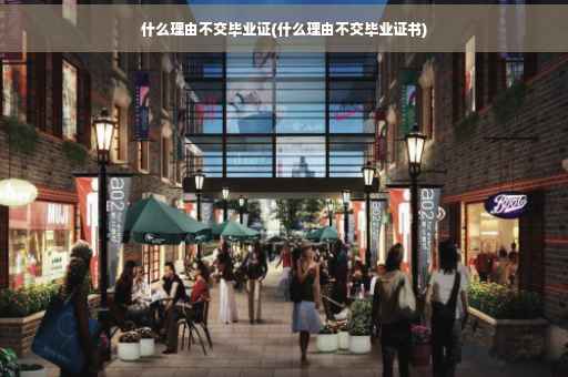 什么理由不交毕业证(什么理由不交毕业证书)