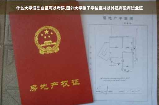 什么大学没毕业证可以考研,国外大学除了学位证书以外还有没有毕业证