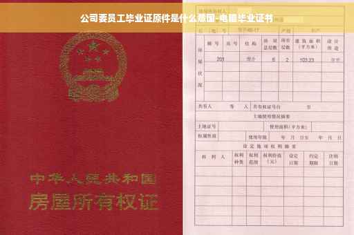 公司要员工毕业证原件是什么意国-电脑毕业证书