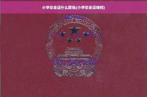 小学毕业证什么颜色(小学毕业证啥样)