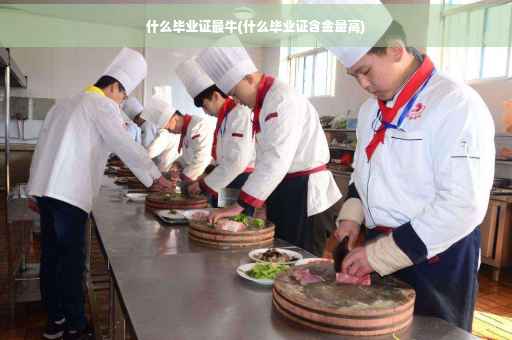 什么毕业证最牛(什么毕业证含金量高)