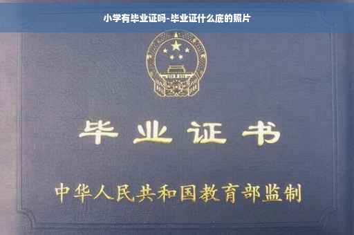 小学有毕业证吗-毕业证什么底的照片