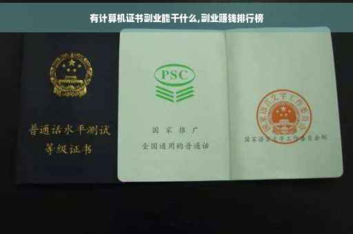 有计算机证书副业能干什么,副业赚钱排行榜