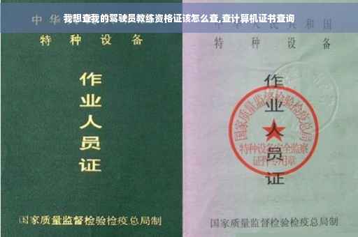 我想查我的驾驶员教练资格证该怎么查,查计算机证书查询