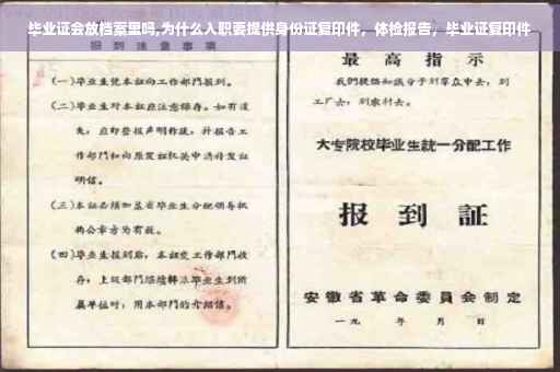 毕业证会放档案里吗,为什么入职要提供身份证复印件，体检报告，毕业证复印件