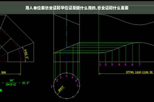 用人单位要毕业证和学位证是做什么用的,毕业证和什么重要