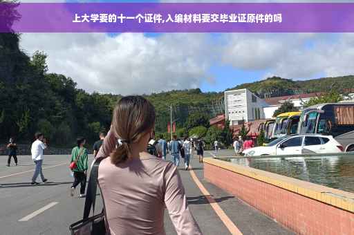 上大学要的十一个证件,入编材料要交毕业证原件的吗