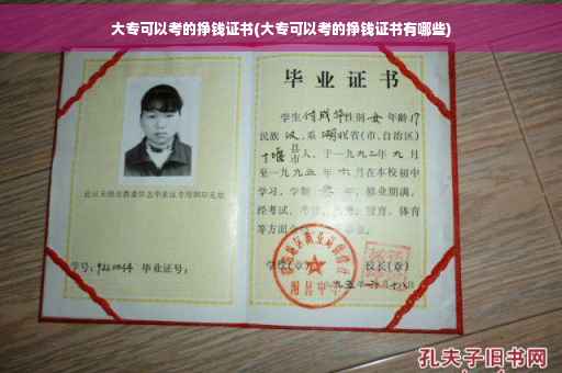 大专可以考的挣钱证书(大专可以考的挣钱证书有哪些)