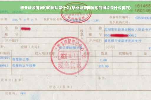 毕业证竖向复印的图片是什么(毕业证竖向复印的图片是什么样的)