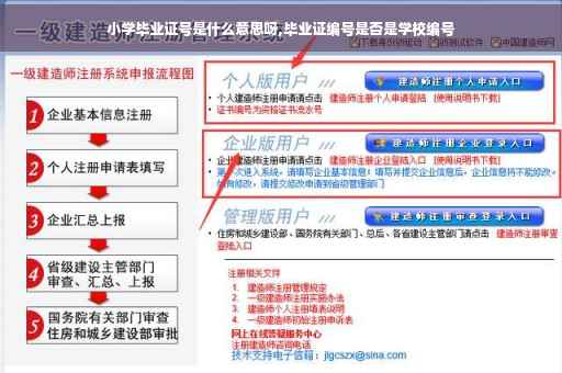 小学毕业证号是什么意思呀,毕业证编号是否是学校编号