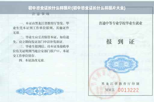 初中毕业证长什么样图片(初中毕业证长什么样图片大全)