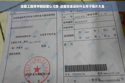 法国工程师学院回国认可度-法国毕业证长什么样子图片大全
