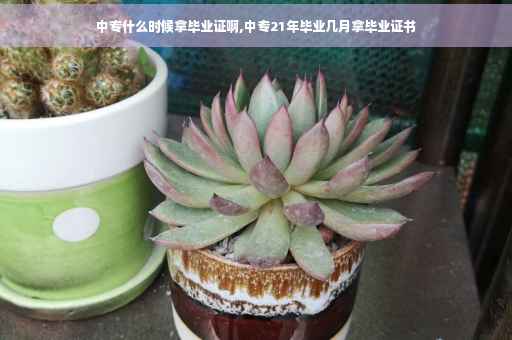 中专什么时候拿毕业证啊,中专21年毕业几月拿毕业证书