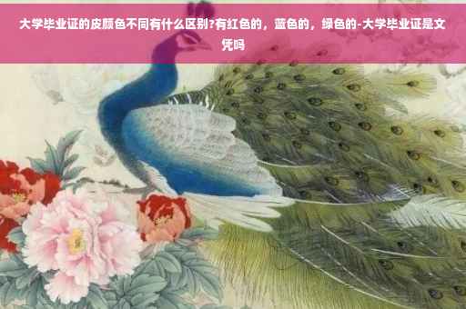 大学毕业证的皮颜色不同有什么区别?有红色的，蓝色的，绿色的-大学毕业证是文凭吗