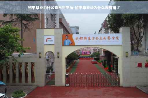 初中毕业为什么查不到学历-初中毕业证为什么没有用了