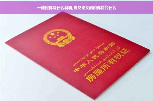 一建附件是什么材料,提交论文的附件指的什么