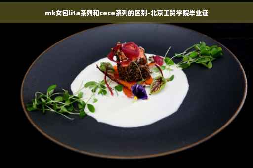 mk女包lita系列和cece系列的区别-北京工贸学院毕业证