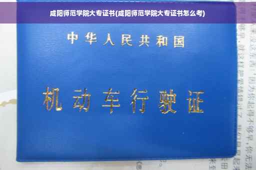 咸阳师范学院大专证书(咸阳师范学院大专证书怎么考)