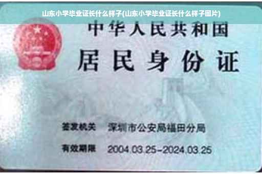 山东小学毕业证长什么样子(山东小学毕业证长什么样子图片)