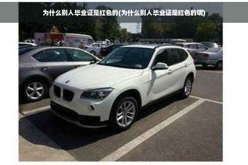 为什么别人毕业证是红色的(为什么别人毕业证是红色的呢)