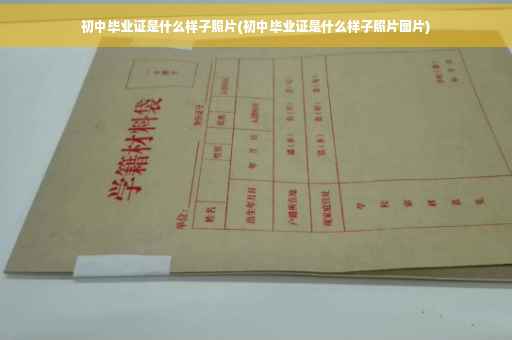 初中毕业证是什么样子照片(初中毕业证是什么样子照片图片)
