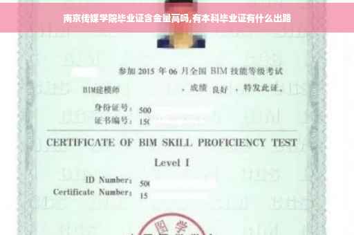 南京传媒学院毕业证含金量高吗,有本科毕业证有什么出路