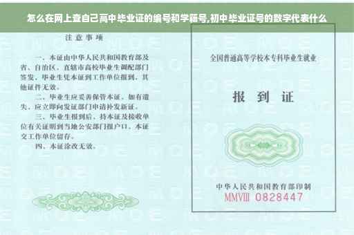 怎么在网上查自己高中毕业证的编号和学籍号,初中毕业证号的数字代表什么