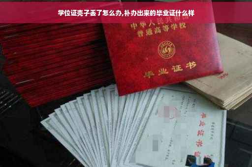 学位证壳子丢了怎么办,补办出来的毕业证什么样
