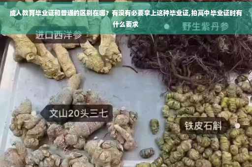 成人教育毕业证和普通的区别在哪？有没有必要拿上这种毕业证,拍高中毕业证时有什么要求